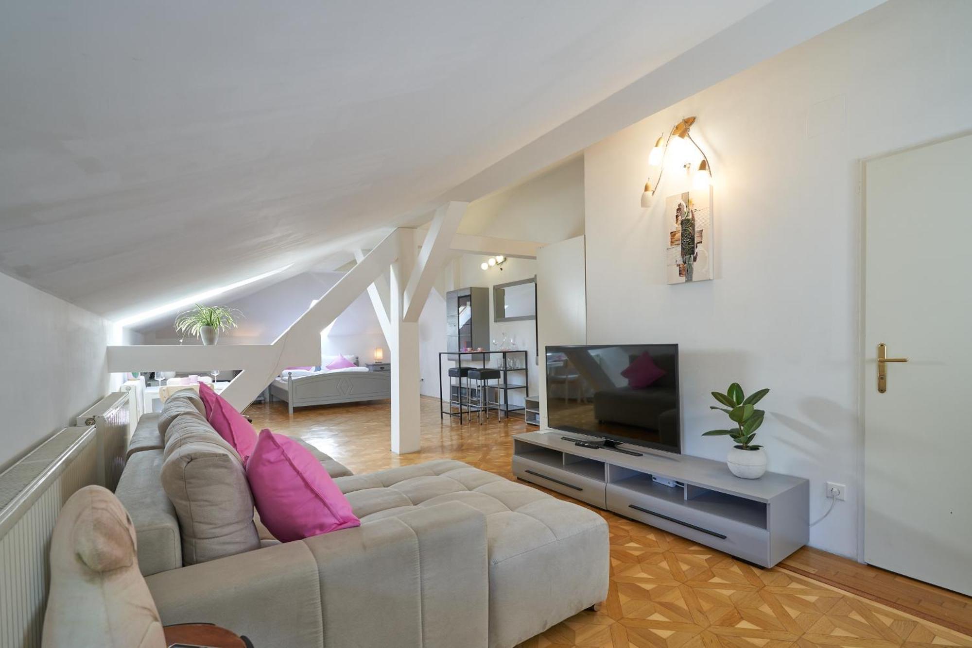 Big Apartment In Guesthouse Baden Dış mekan fotoğraf